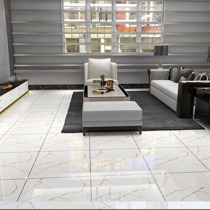 Time L62066 Gloss Porcelain Tile - 60x60 - 1.44/4