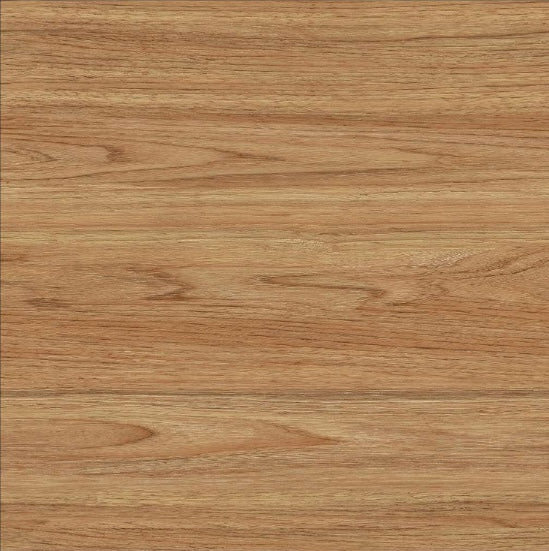 Oreal OR66005 Gloss Porcelain Tile - 60x60 - 1.44/4