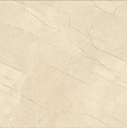 Oreal OR66006 Gloss Porcelain Tile - 60x60 - 1.44/4