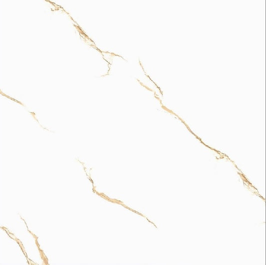 Oreal OR66027 Gloss Porcelain Tile - 60x60 - 1.44/4