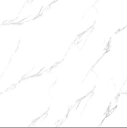 Oreal OR66042 Gloss Porcelain Tile - 60x60 - 1.44/4