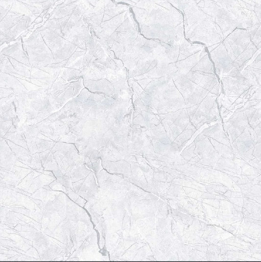 Oreal OR66043 Gloss Porcelain Tile - 60x60 - 1.44/4