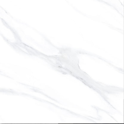 Oreal OR66048 Gloss Porcelain Tile - 60x60 - 1.44/4