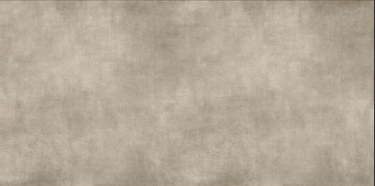 Oreal ORM612011 Matt Porcelain Tile - 60x120 - 1.44/2