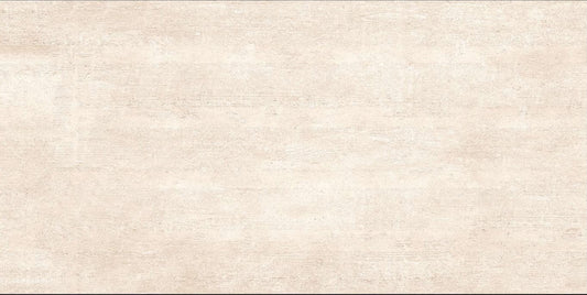 Oreal ORM612006 Matt Porcelain Tile - 60x120 - 1.44/2