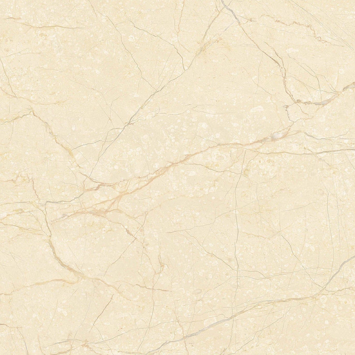 TimeTile HY8219 Ivory Gloss Porcelain Tile - 80x80 - 1.92/3