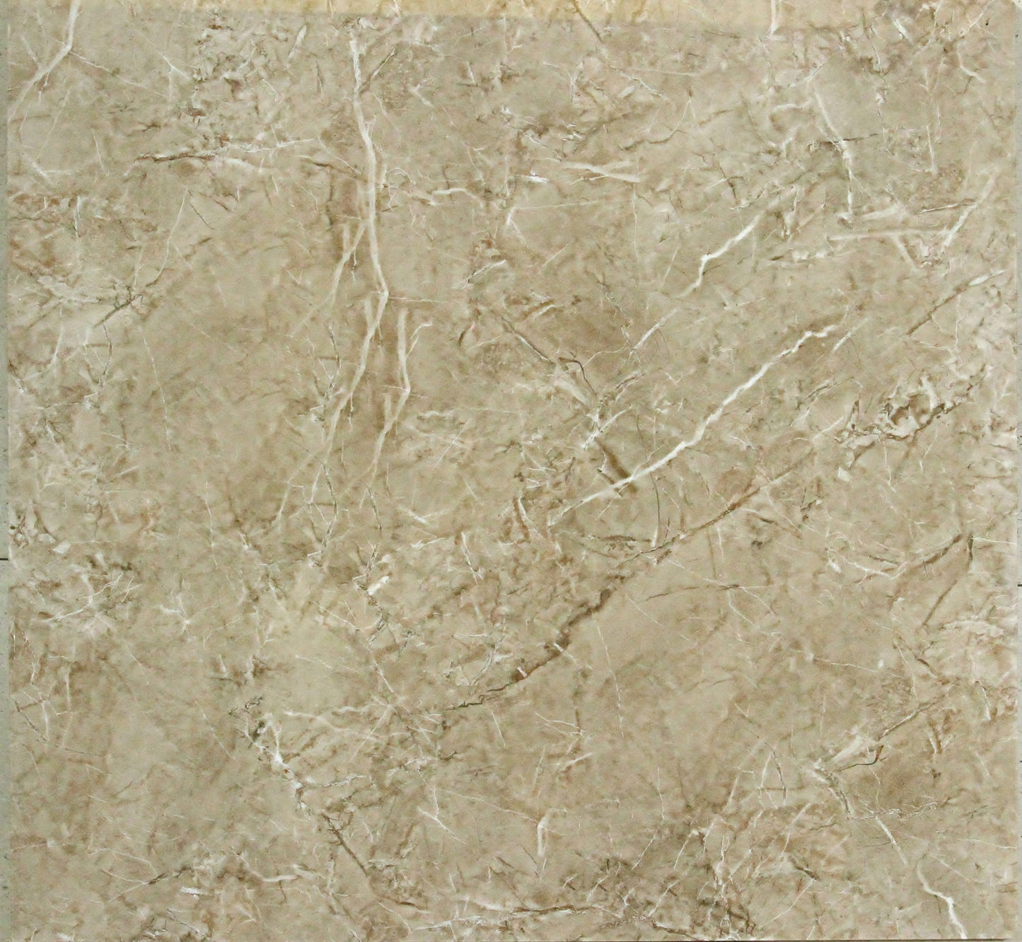 Beige Carrara Gloss Porcelain Tile - 80x80 - 1.28/2